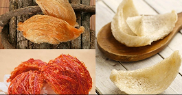 Các loại tổ yến phổ biến